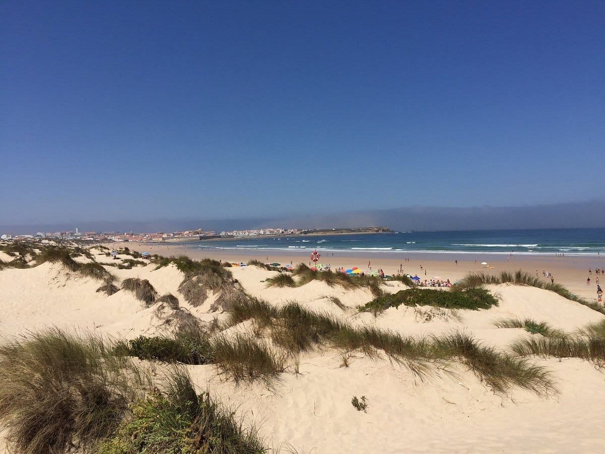 Dunes and marram grass at Peniche beach